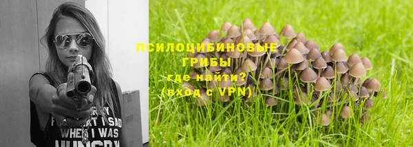 дмт Алексин