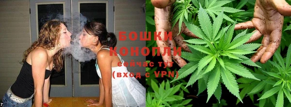твердый Новокубанск