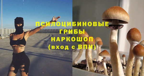 спиды Армянск