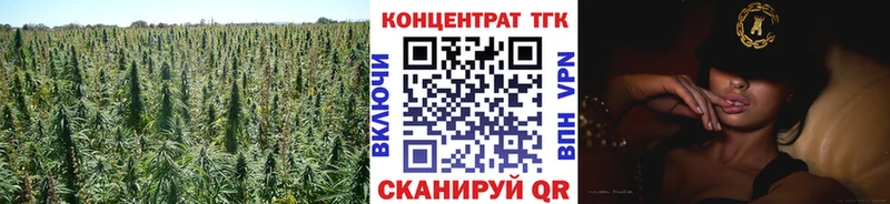 купить   Сибай  ТГК жижа 