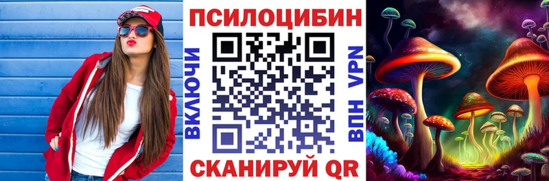 Галлюциногенные грибы Psilocybine cubensis  купить   Сибай 